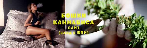 прущие грибы Саяногорск
