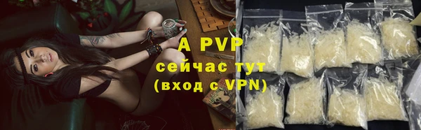 ПСИЛОЦИБИНОВЫЕ ГРИБЫ Сафоново
