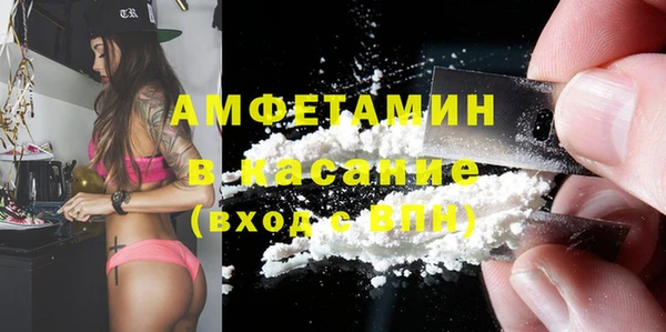 прущие грибы Саяногорск