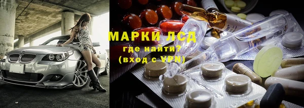 прущие грибы Саяногорск